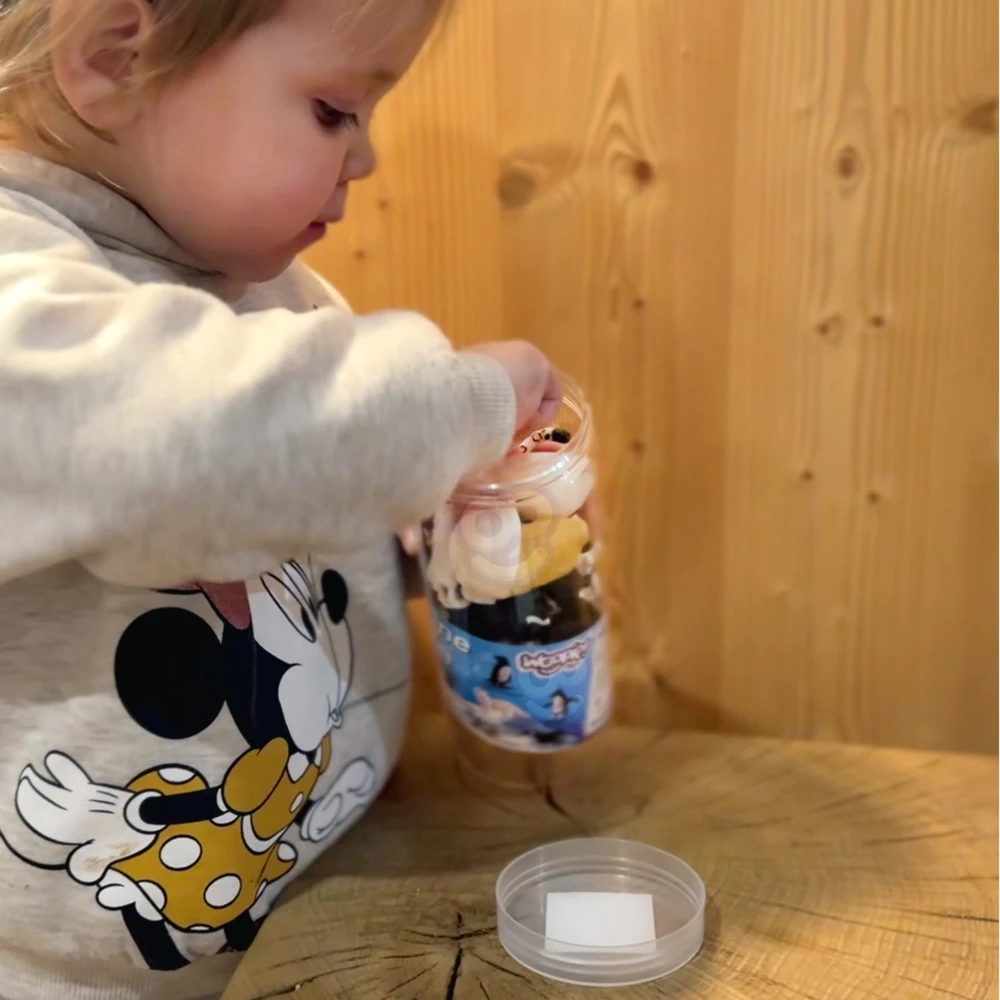 Woopie Arkties gyvūnų figūrėlių rinkinys 16 vnt
