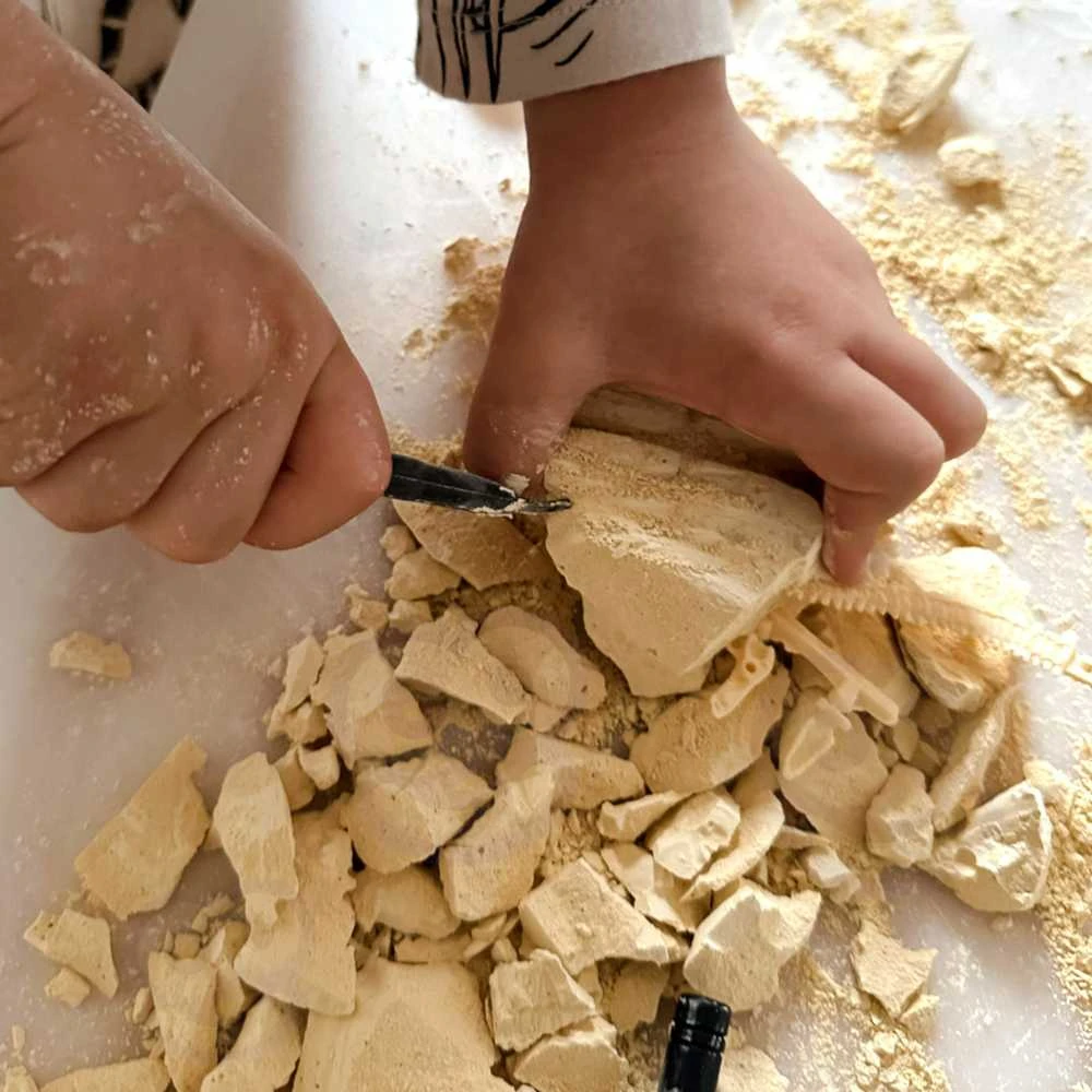 Dinozauro Skeleto Archeologiniai Kasinėjimai WOOPIE