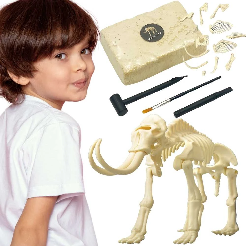 WOOPIE Žaislas Archeologinis Dinozauras Skeleto Rinkinys
