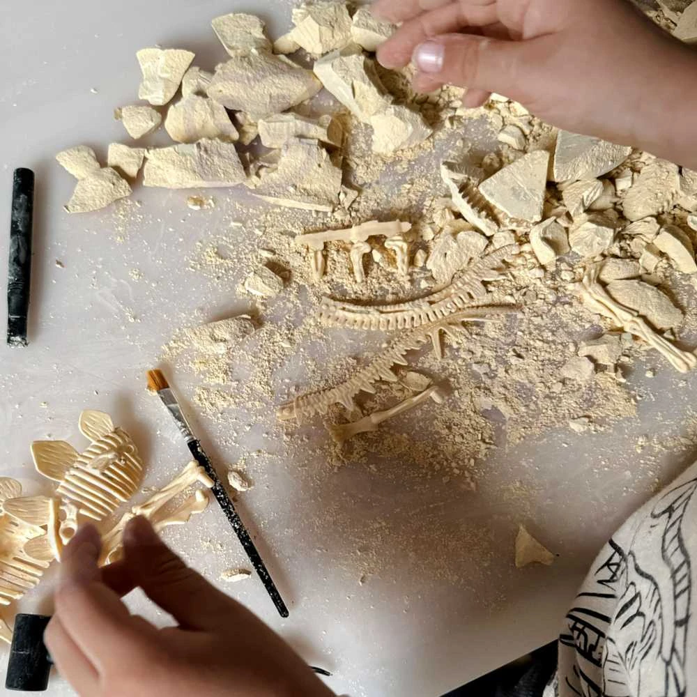 Dinozauro Skeleto Archeologiniai Kasinėjimai WOOPIE