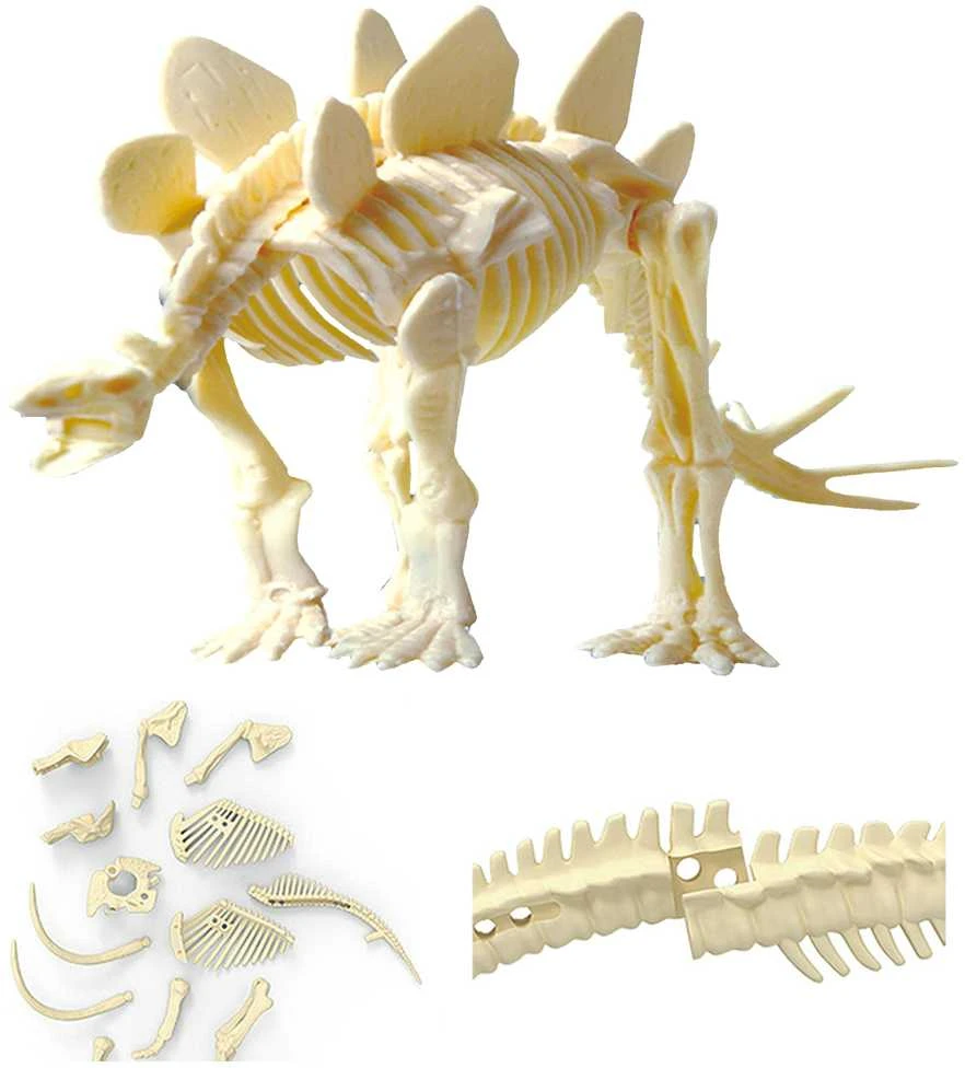 Dinozauro Skeleto Archeologiniai Kasinėjimai WOOPIE