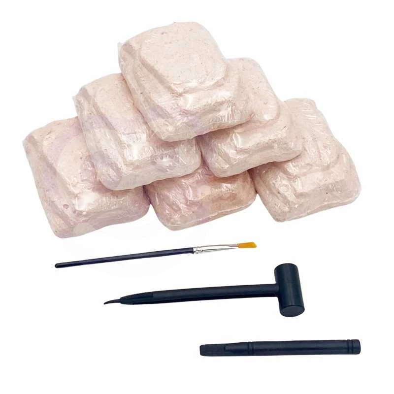 Woopie wykopalisko 6in1 dinozaurų skeletas Mažas archeologas 6 PCS.