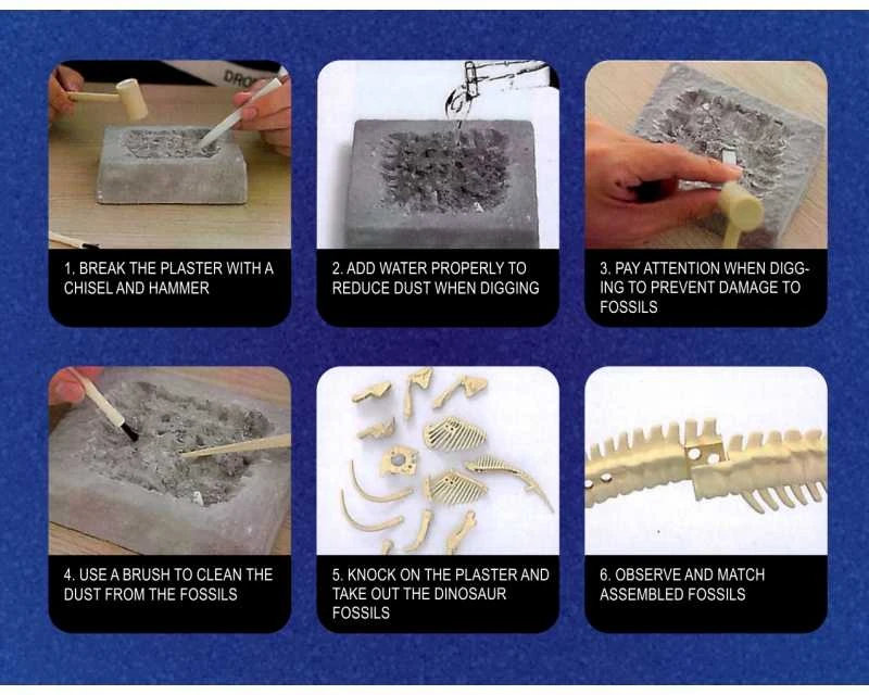 Woopie wykopalisko 6in1 dinozaurų skeletas Mažas archeologas 6 PCS.