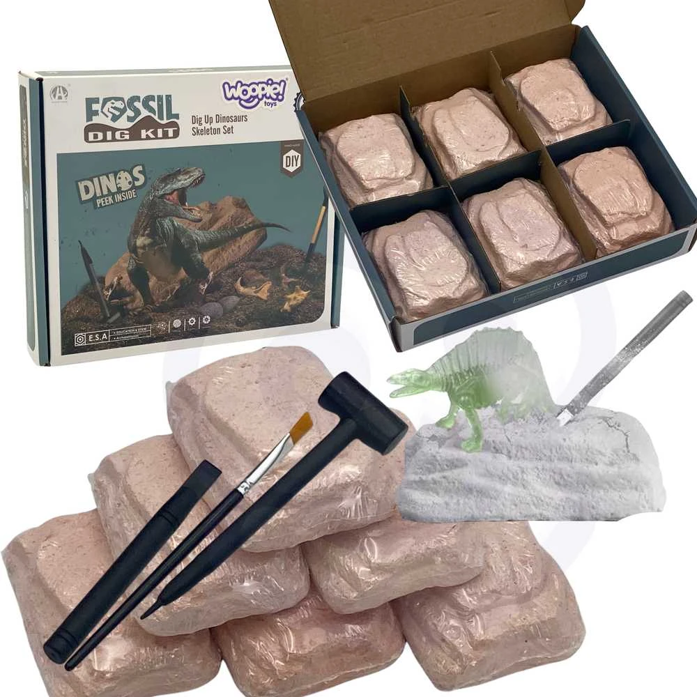 Woopie wykopalisko 6in1 dinozaurų skeletas Mažas archeologas 6 PCS.
