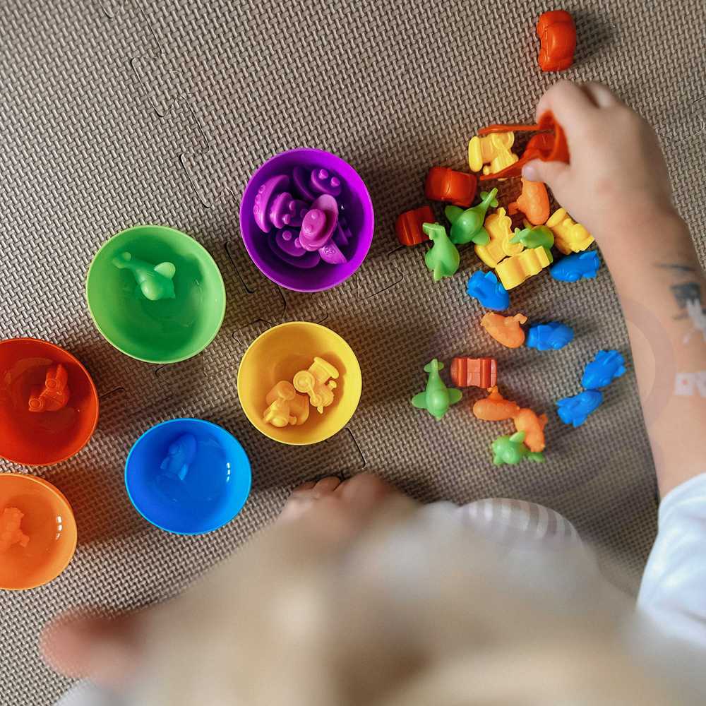 WOOPIE Montessori edukacinis žaidimas spalvų rūšiavimas gyvūnai 36 vnt.