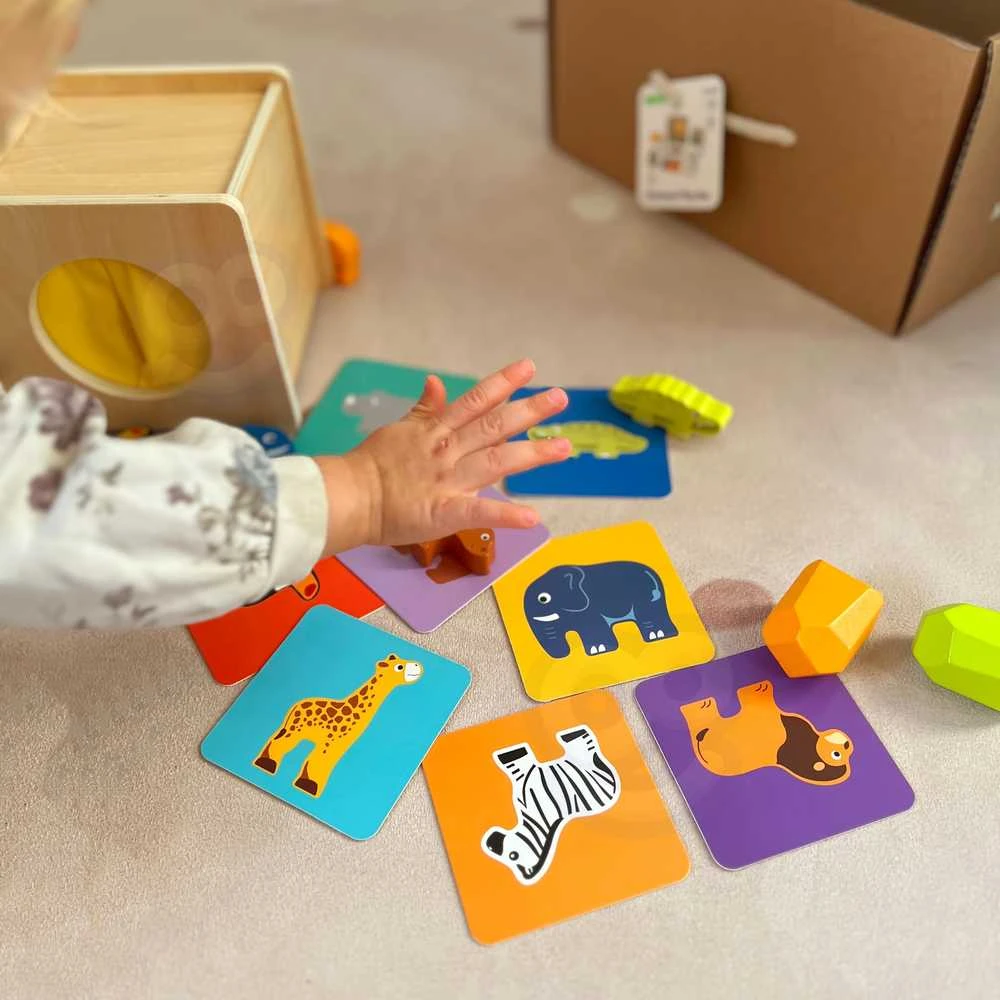 WOOPIE Žalias Montessori edukacinė dėžė 7in1