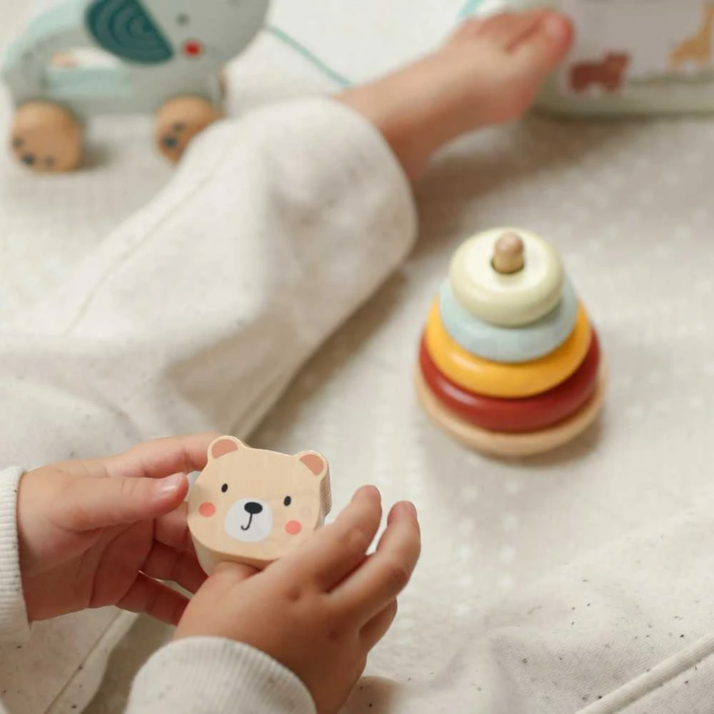 Woopie Tooky Toy Medinis žaislas 3in1: formų rūšiavimo dėžė su lokiu ir dramblio traukimo žaislu