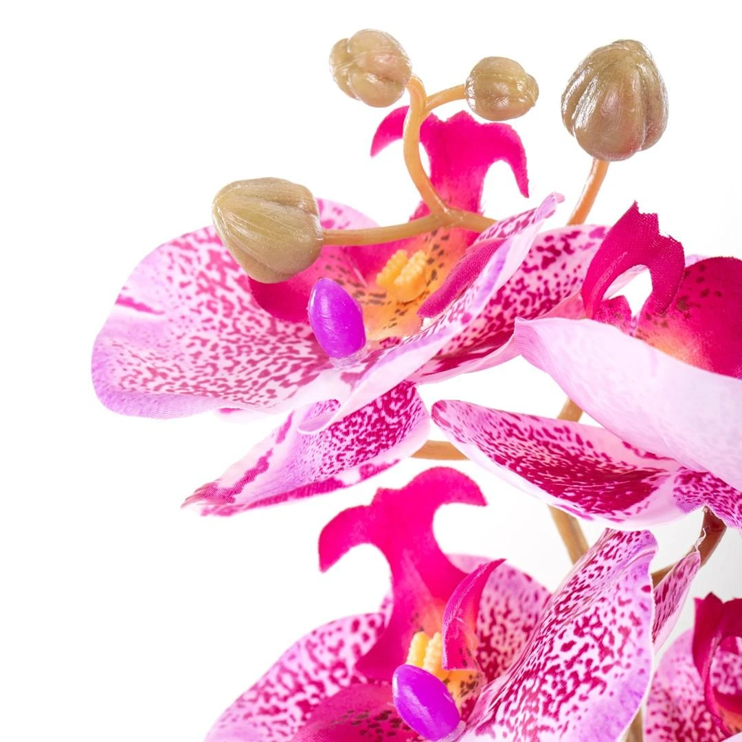 Dirbtinė orchidėja stambiu planu
