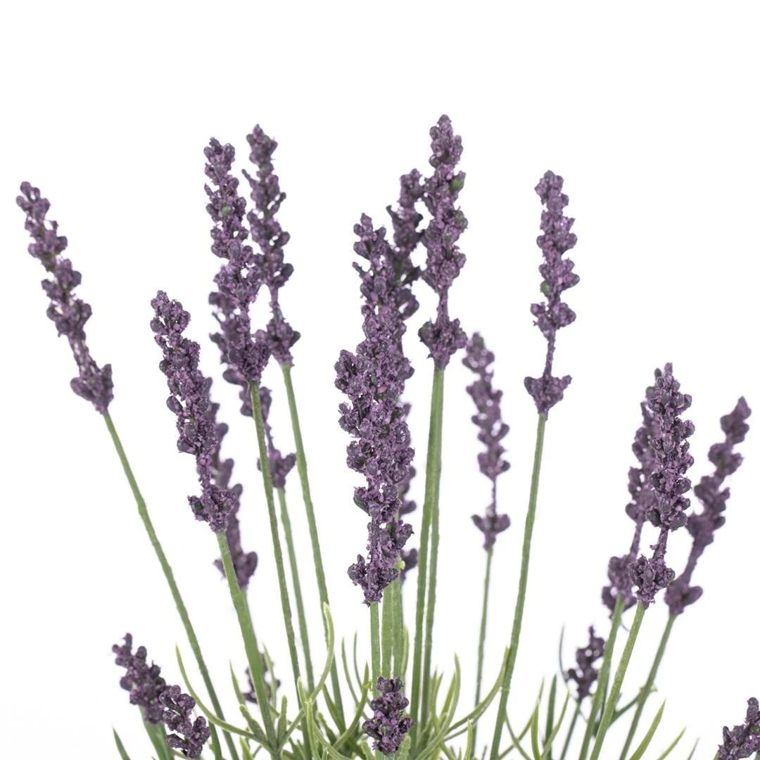 Dirbtinių levandų puokštė violetiniais žiedais