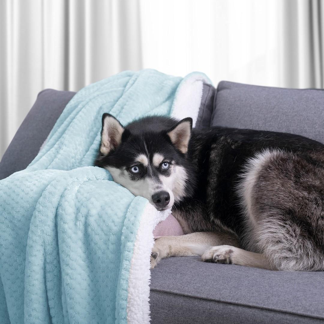 AmeliaHome BLA/AH/SHLEEPY/BABYBLUE/220X240