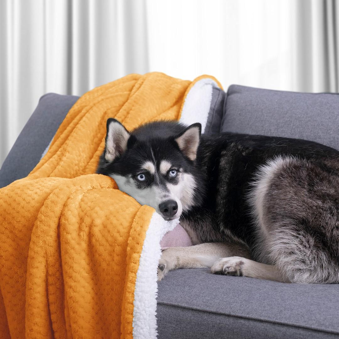 AmeliaHome BLA/AH/SHLEEPY/ORANSI/220X240