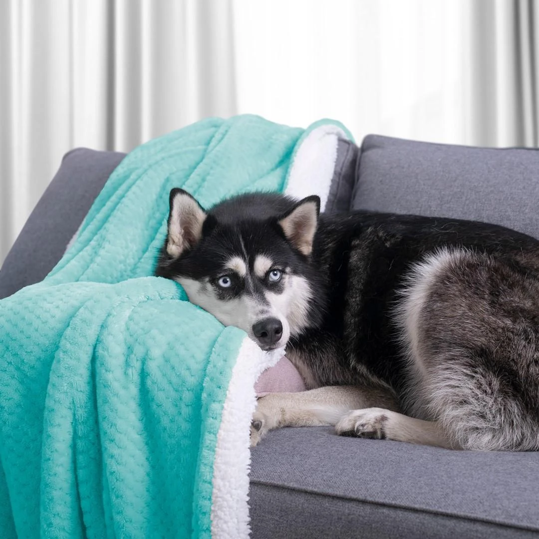 AmeliaHome Pledas SHLEEPY, 70X150 cm, spalva: turkio