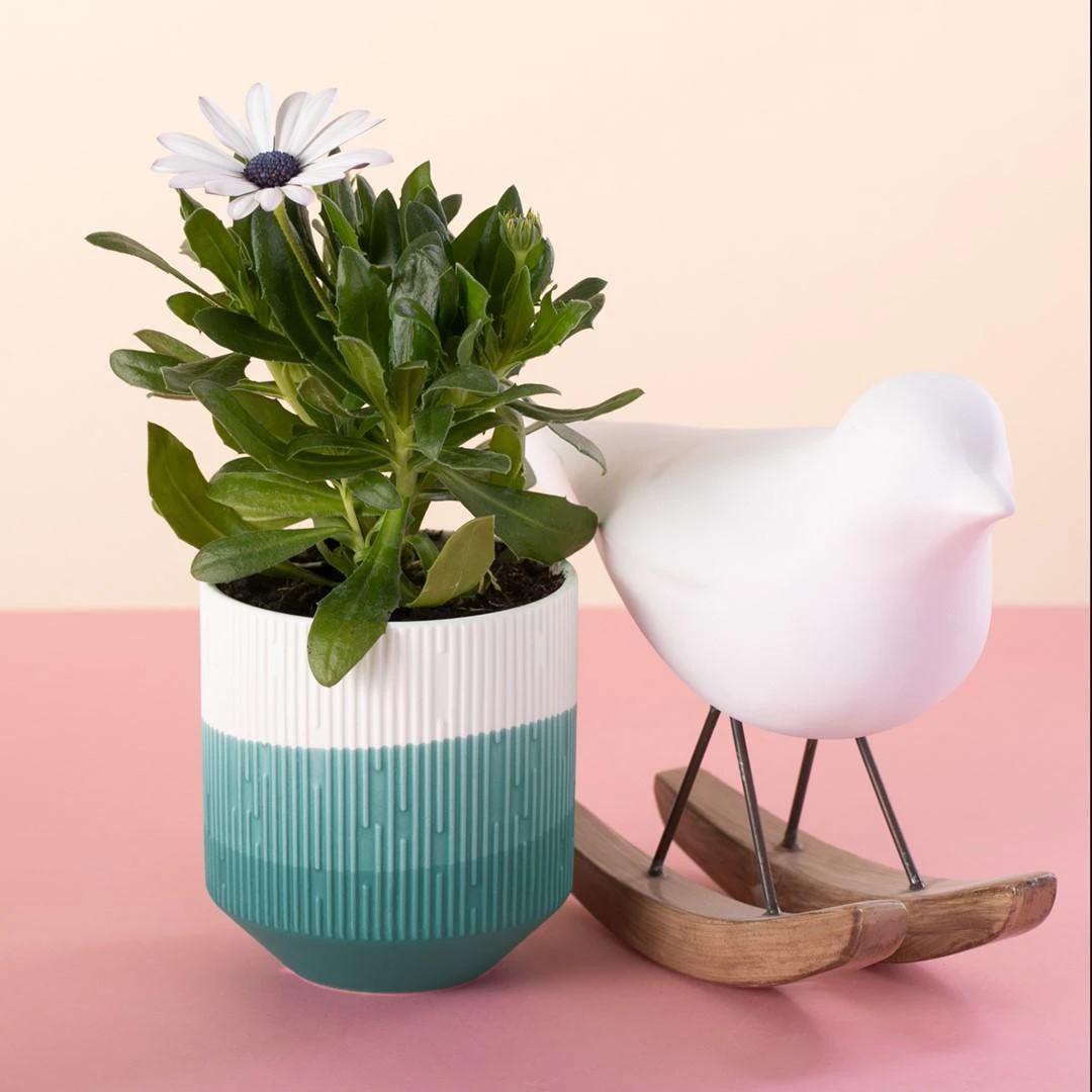 AmeliaHome FLOWEROP/AH/FINO/POWDERROUS/9X9,8