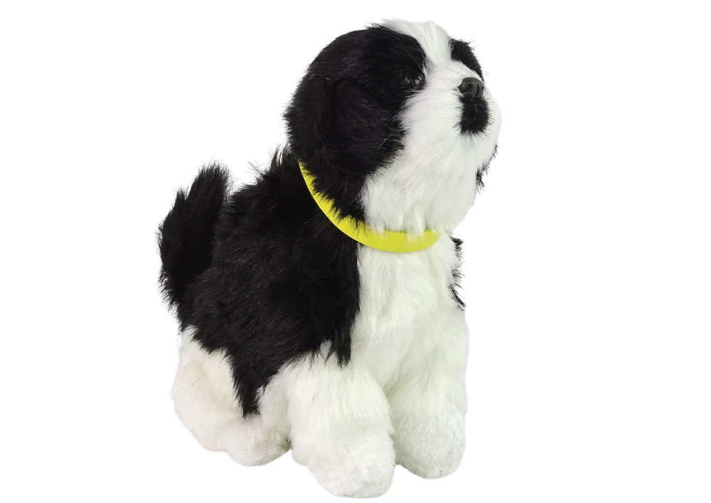 Lean Toys Interaktyvus žaislinis šuo Border Collie, juodai baltas, su garso ir judesio funkcijomis