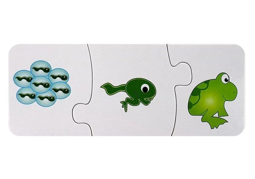 Lean Toys Edukacinė dėlionė "Seka", 10 derinių