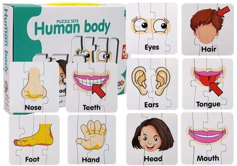 Lean Toys Edukacinė dėlionė