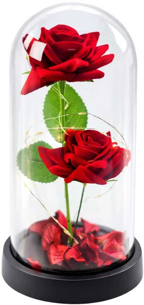 Lean Eternal 2 Roses in Dome with LED apšvietimas and Rose Petals Raudona 21x11cm