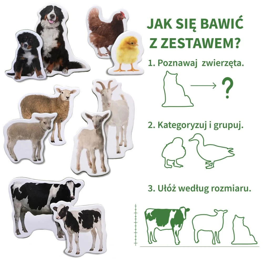 Rinkinys magnesów vaikams Maksik MV6032-08 Farma