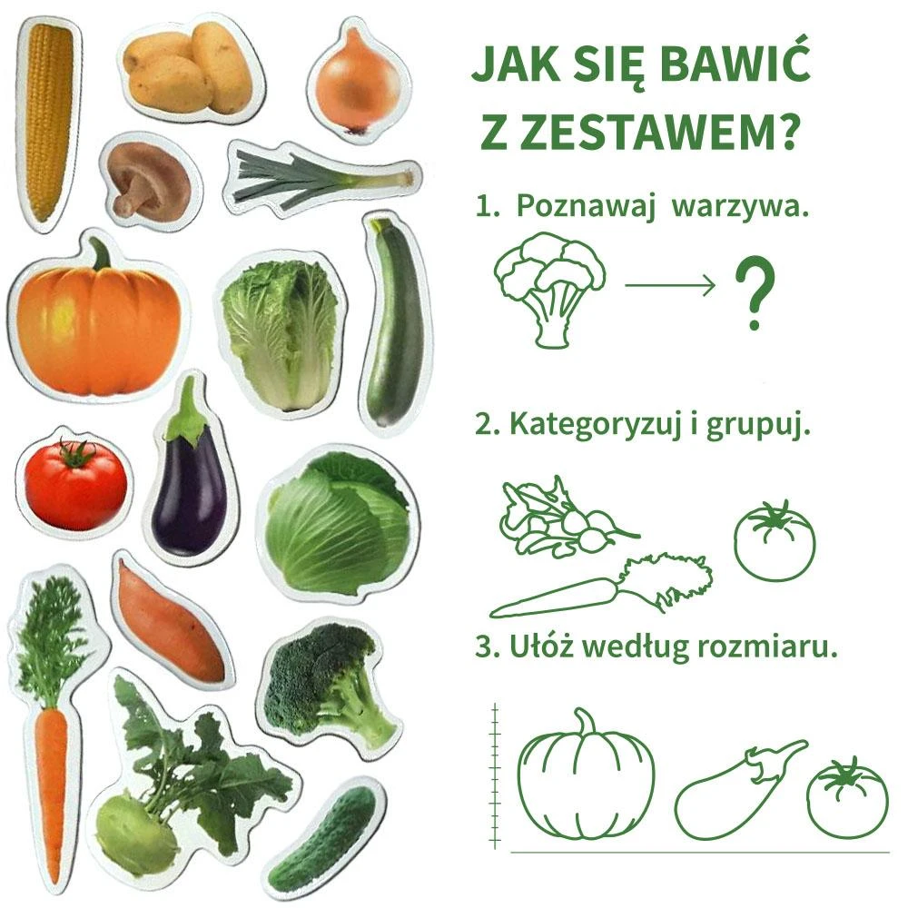 Dėlionė Bez Marki Magnetinių lipdukų rinkinys Daržovės, 25 vnt.