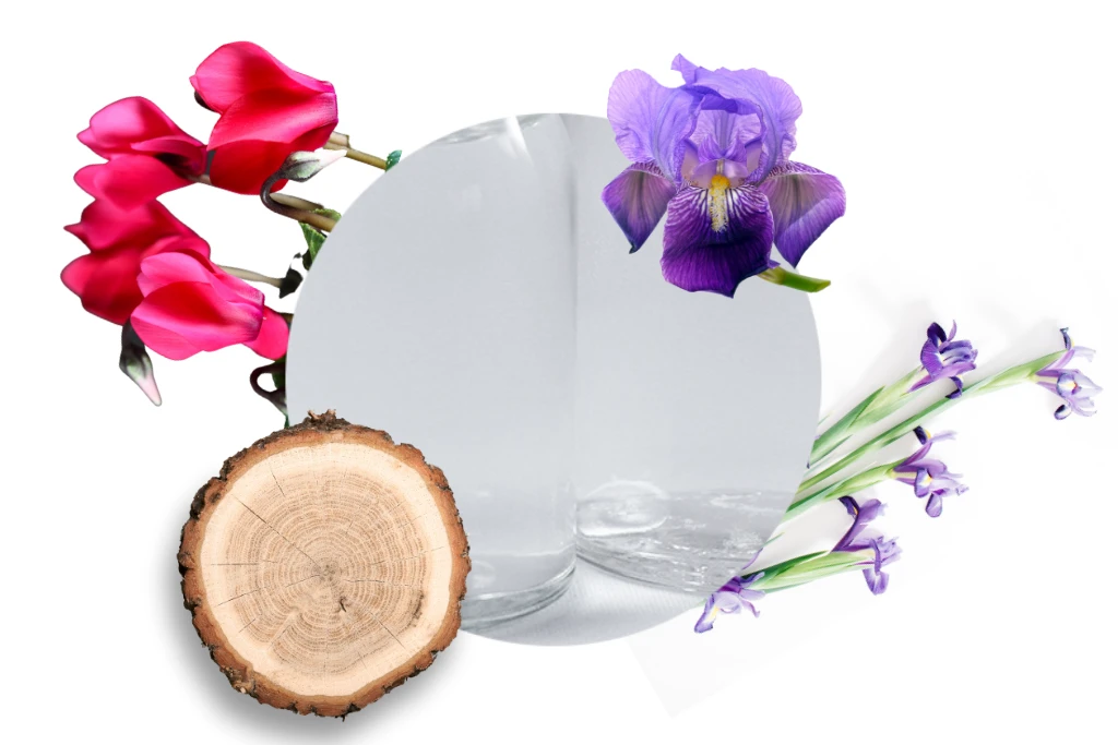 Carbaline Namų kvapas Alpine Breeze 100ml