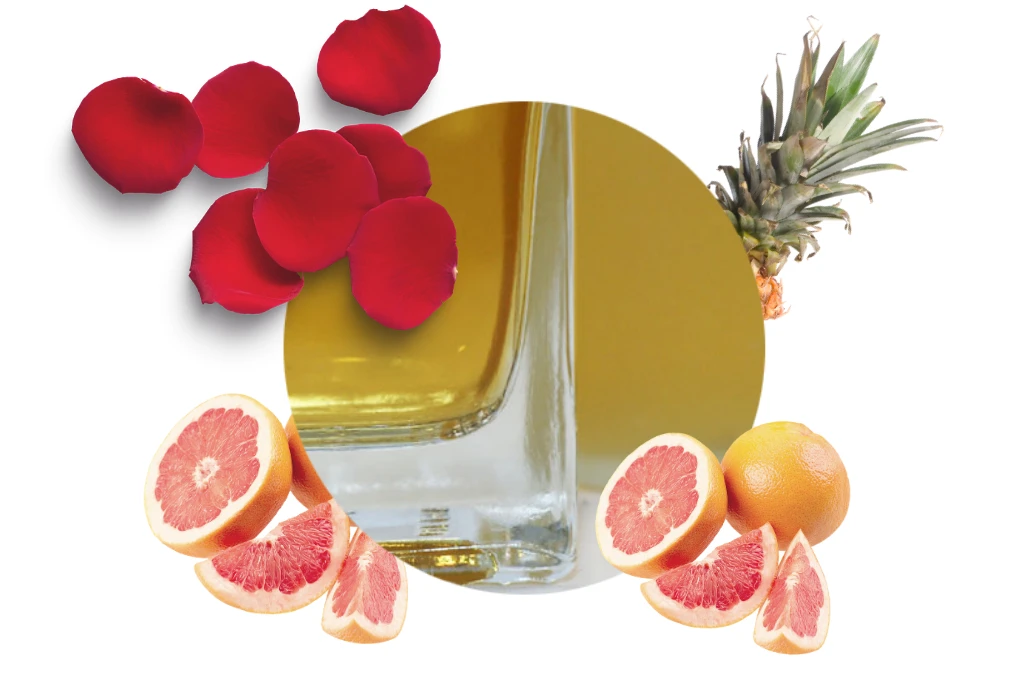 Carbaline Namų kvapas Seawood 50ml
