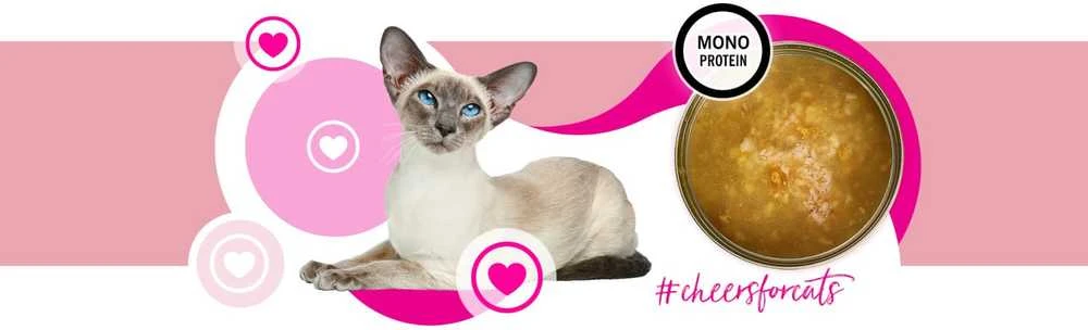 3COTY kalakutiena Cheers! - wet cat food - 75g