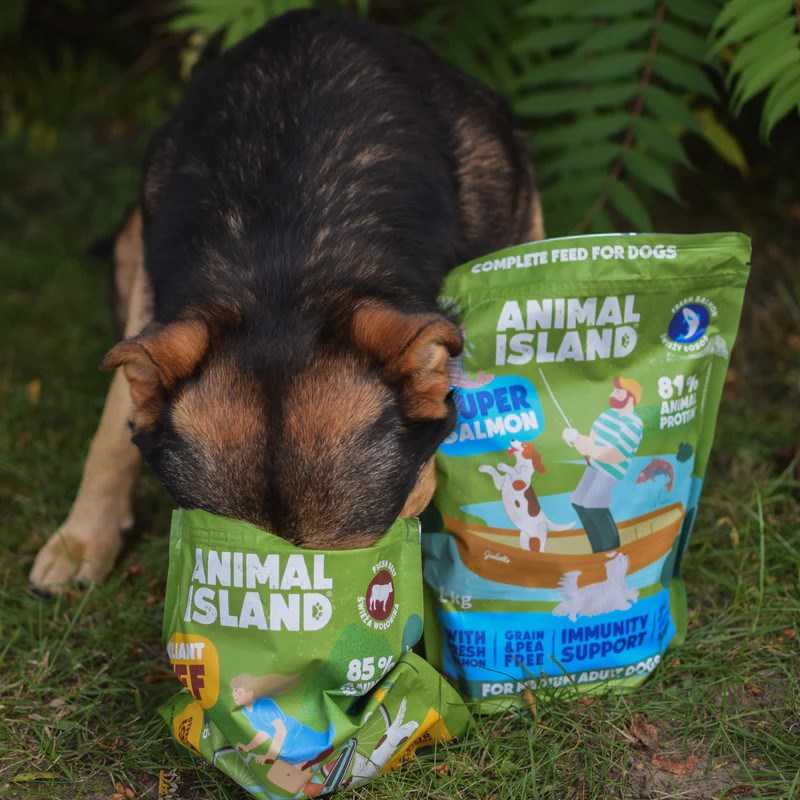ANIMAL ISLAND lašiša - dry dog food - 1kg