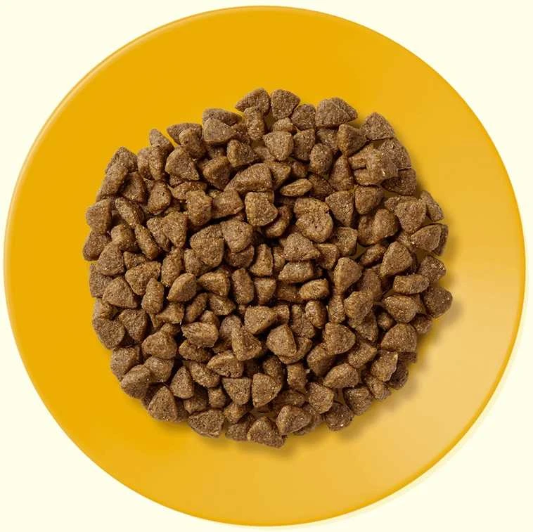 Sausas kačių maistas Applaws Kitten vištiena, 2kg