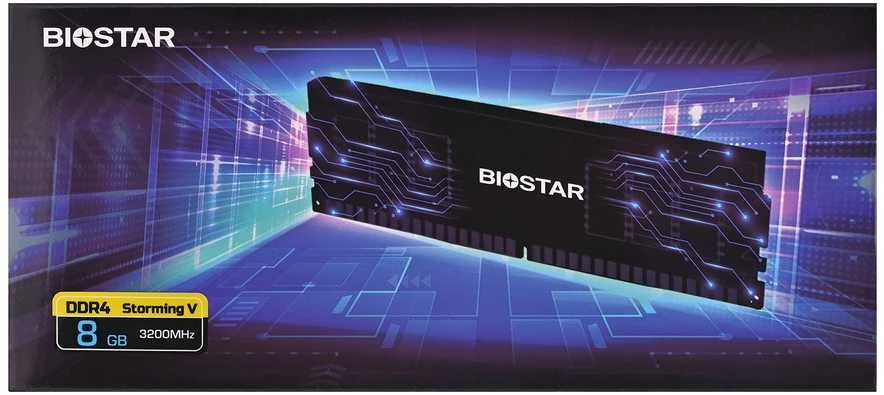RAM Biostar DDR4 Storming V atminties modulis 8 GB 1 x 8 GB 3200 MHz (DX32NU4H08)