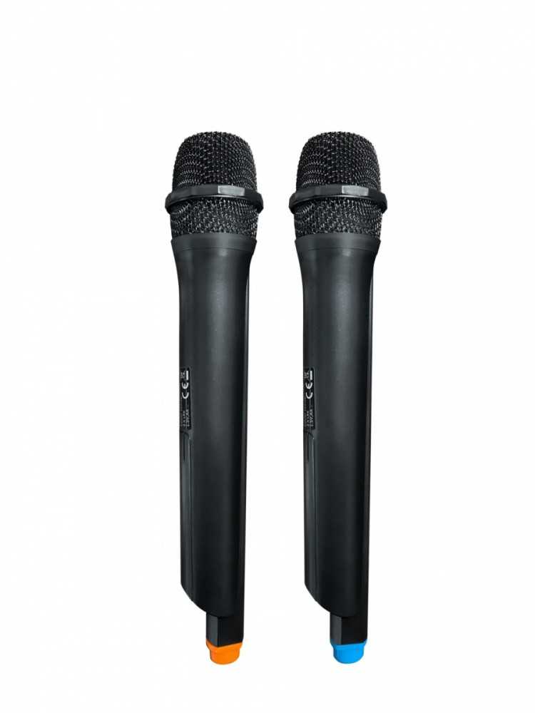 Nešiojama kolonėlė PartyBox Blaupunkt PB10DB