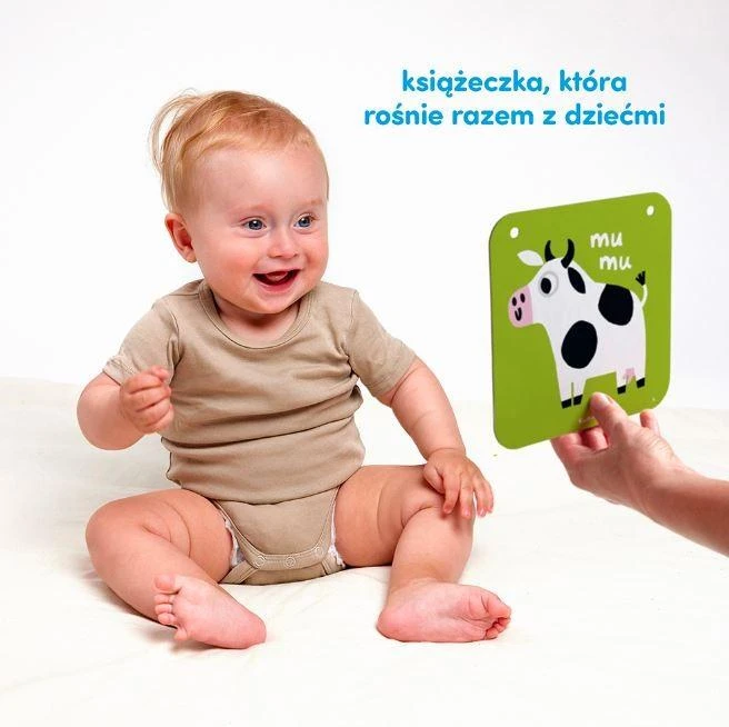 Dėlionė „Czuczu“ didelės kontrastinės kortelės iš 6 M + ZA4238