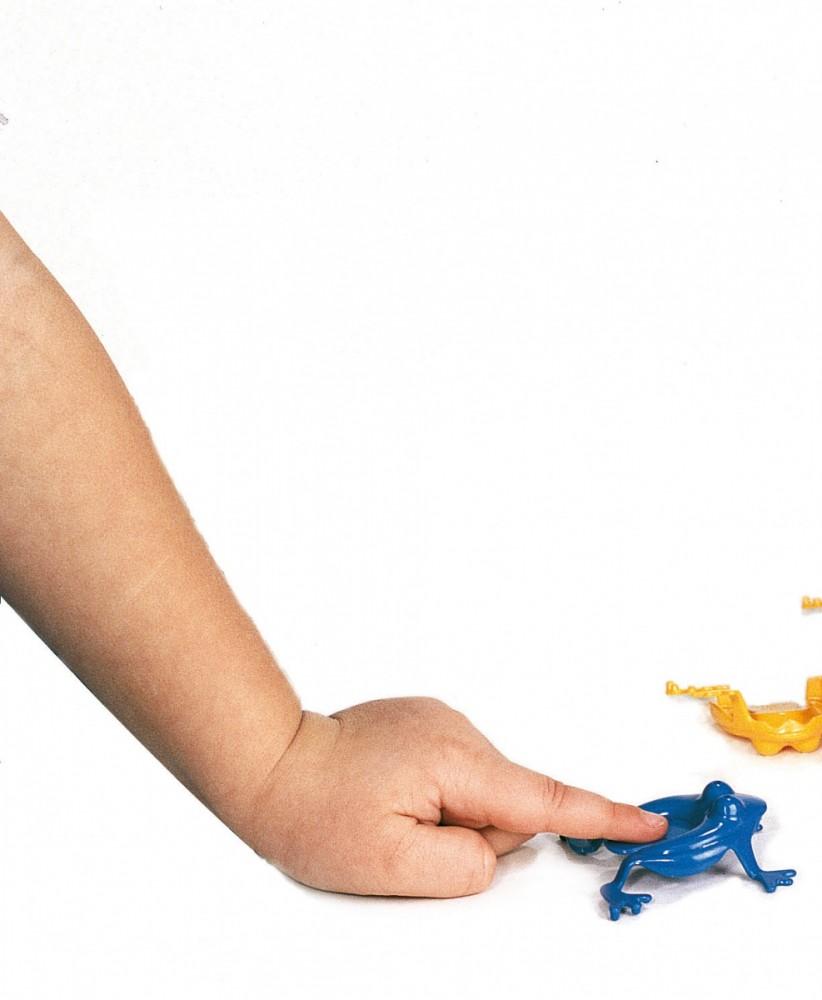 Dante VIKING TOYS Žaidimas „Varlytės“