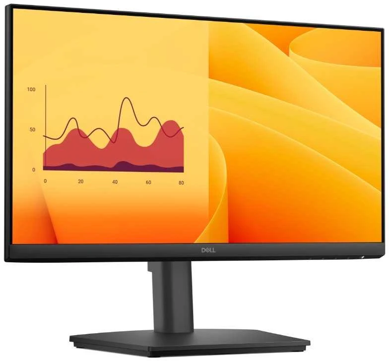 Monitorius Dell Pro E2225HSM (210-BRDT)