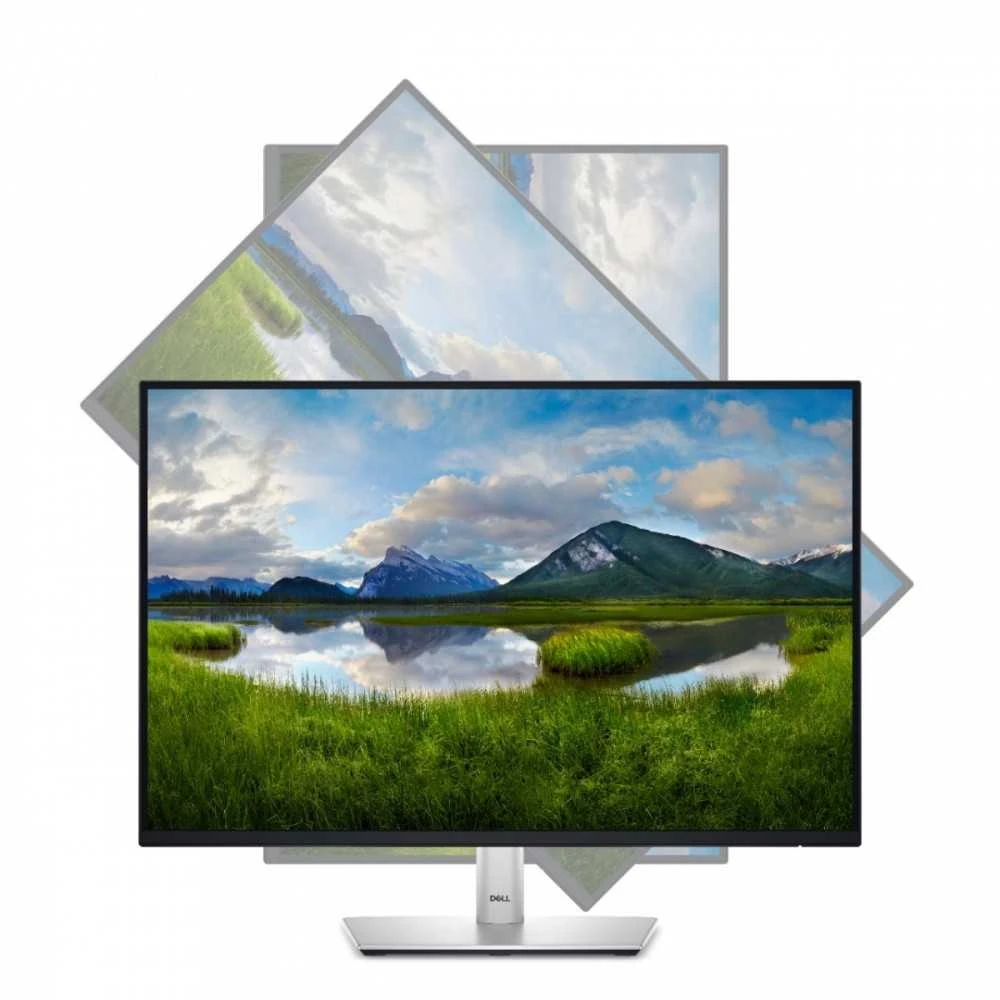 Dell 24 Monitorius - P2425, 61cm (24.0") (Pažeista pakuotė)