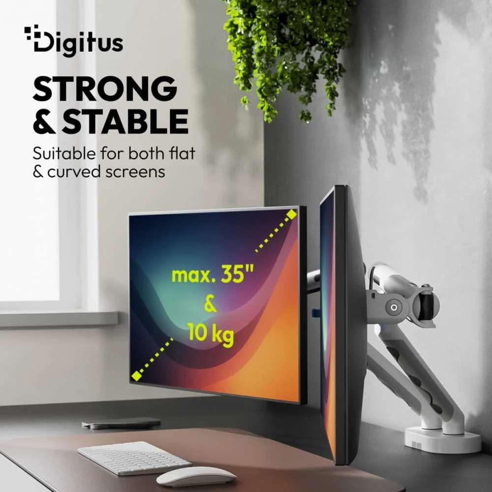 Assmann Electronic DIGITUS dvigubo monitoriaus laikiklis 2x35 colių 2x10kg mechaninė spyruoklinė VESA 75x75 100x100 Baltas