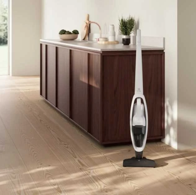 Dulkių siurblys Electrolux ES31CB18SH