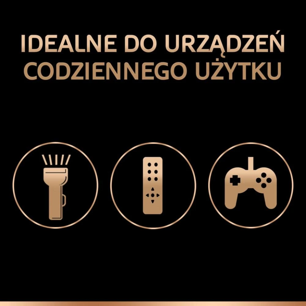 Duracell | Basic MN1300 D BL | D/R20