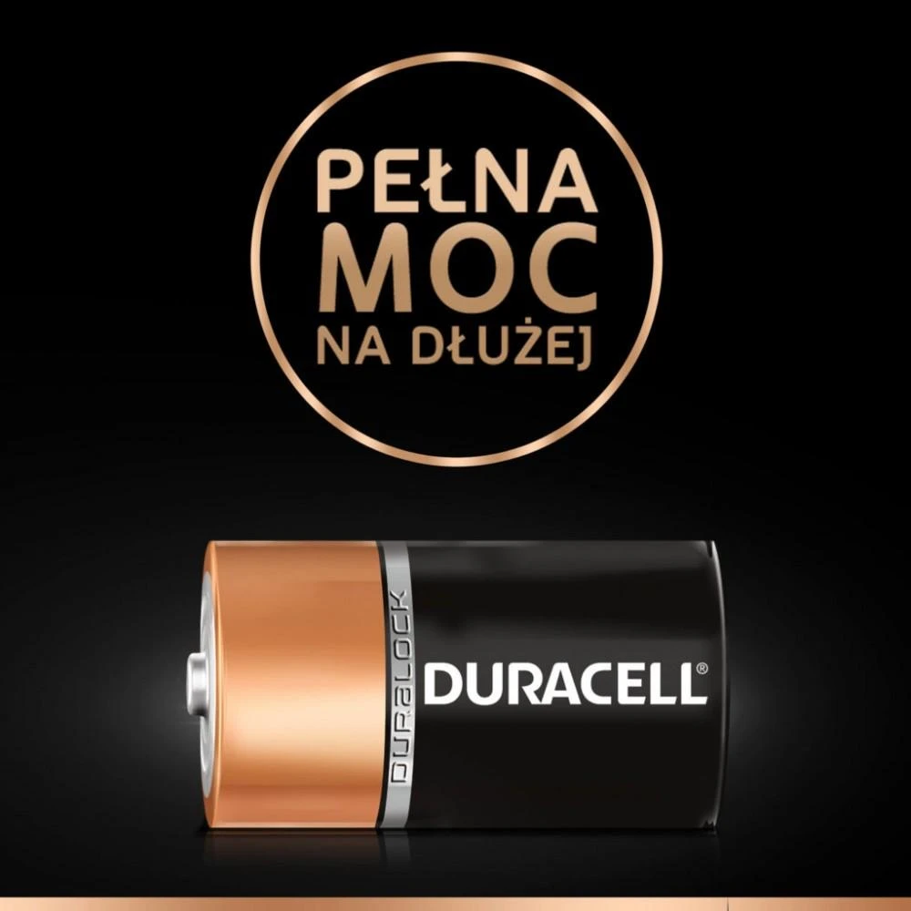Duracell | Basic MN1300 D BL | D/R20