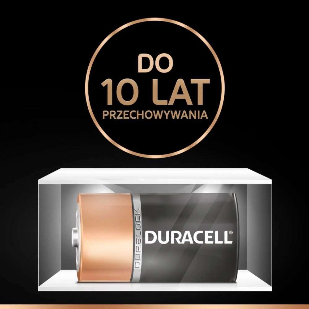 Duracell | Basic MN1300 D BL | D/R20