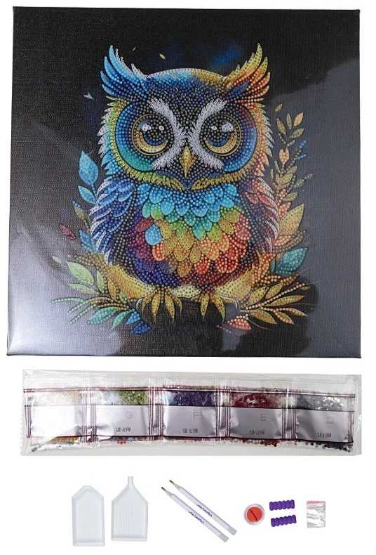 Epee Drobės tapyba 30x30cm su Pelėdos mozaika