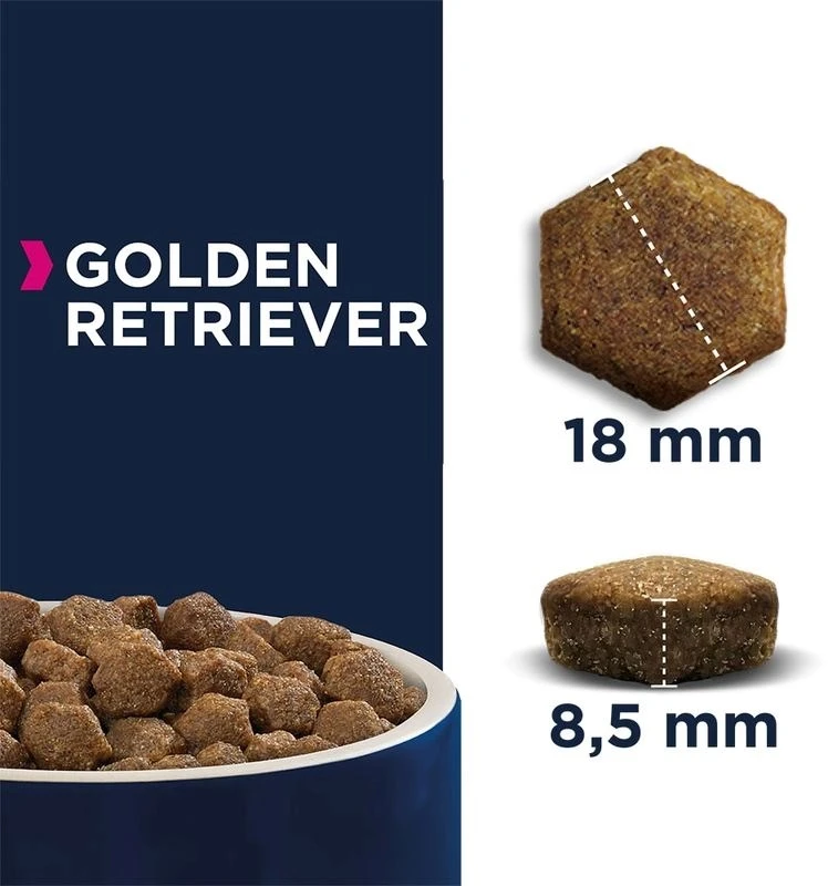 Eukanuba Adult Golden Retriever sausas maistas auksaplaukiams retriveriams 12kg