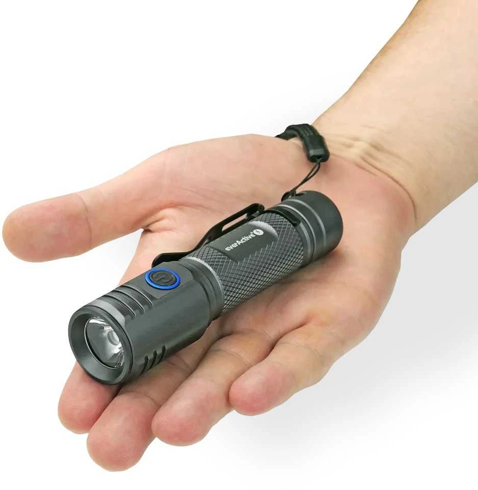 „EverActive FL-2000R Buddy“.