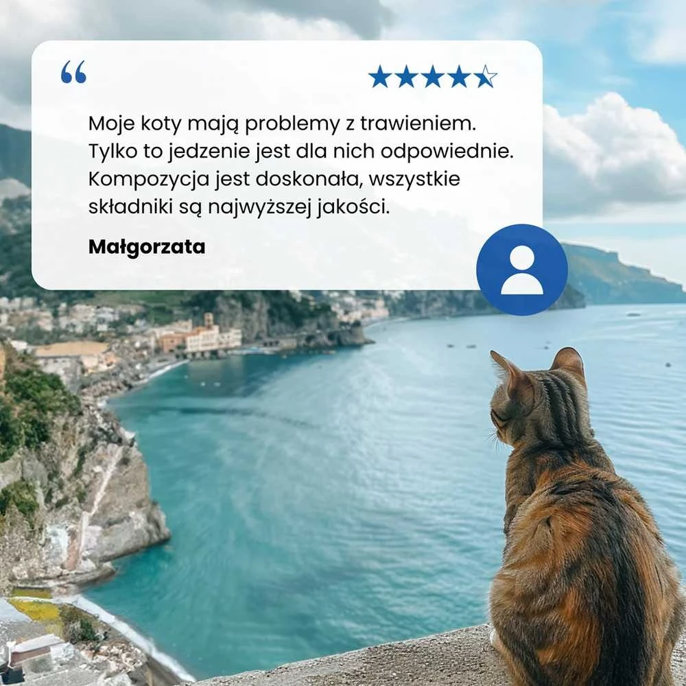 Sausas Kačių Maistas - Farmina N&D Ocean Cat - Menkė, Krevetės, Moliūgas, Kantalupė