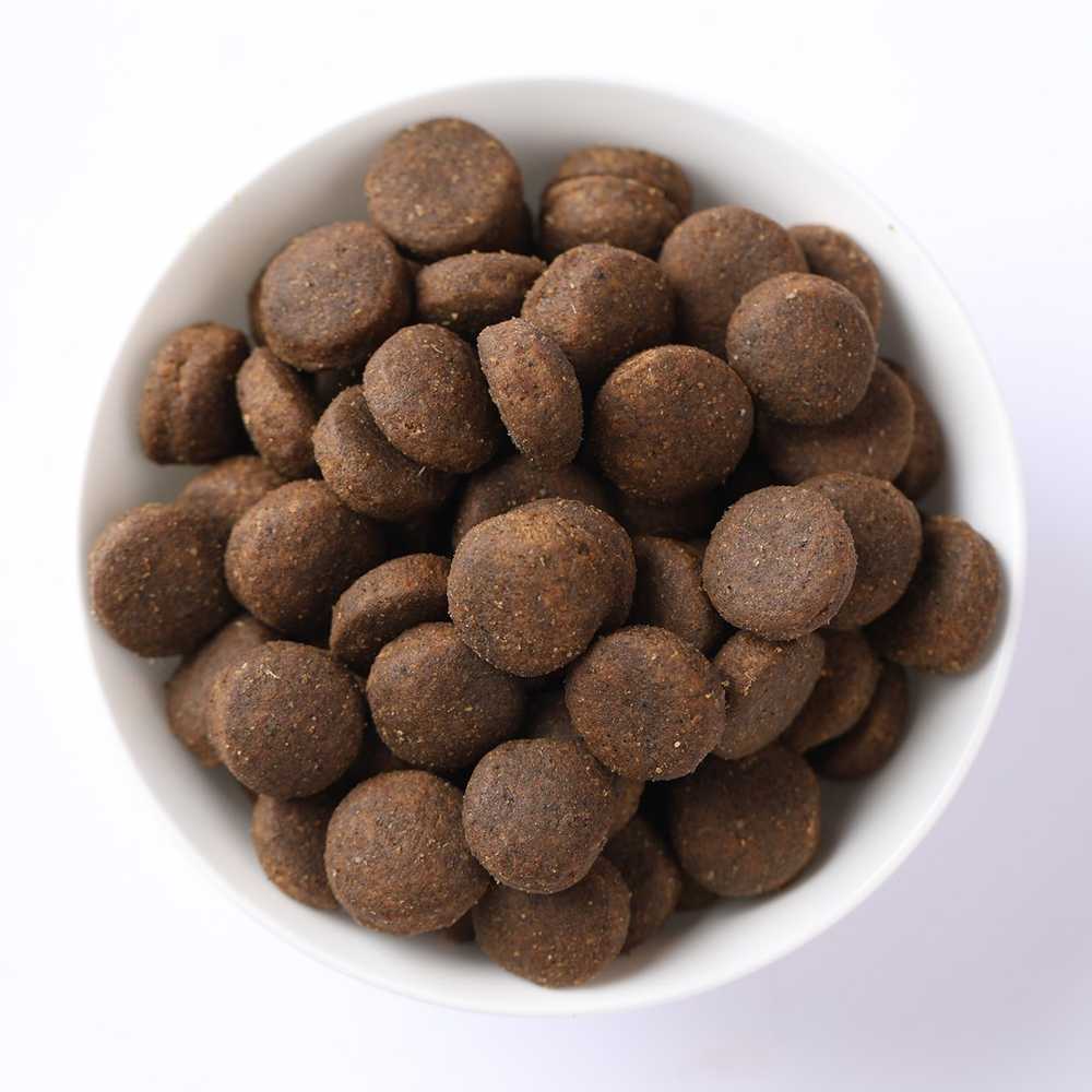 FARMINA N&D moliūgas kačių ėriena ir mėlynių kastruotas suaugusiems - sausas kačių maistas - 1,5kg