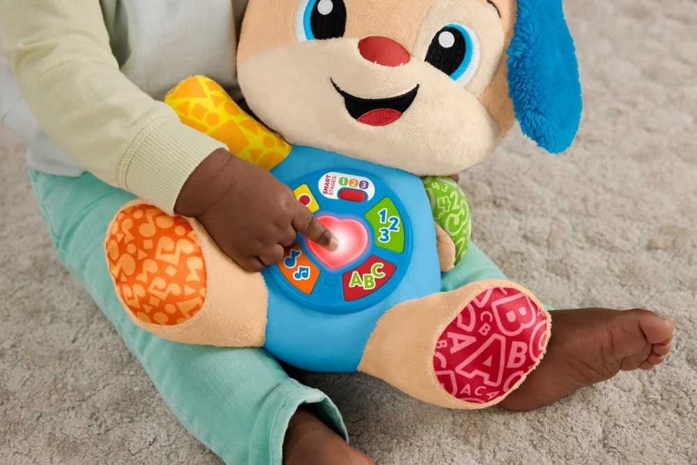 Fisher Price Interaktyvus talismanas šuniukas moksleivis (lenk./angl./cz/sl./hu)