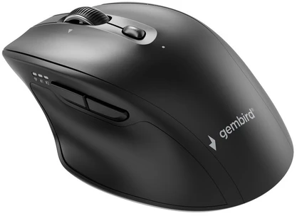 Gembird MUSW2-6B-02 Dual-mode belaidė pelė (2.4G + BT), 2400 DPI, 6-button, juodas