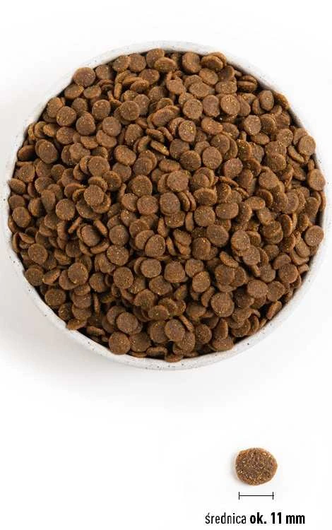 ACANA Dog Adult Mažos veislės 6kg
