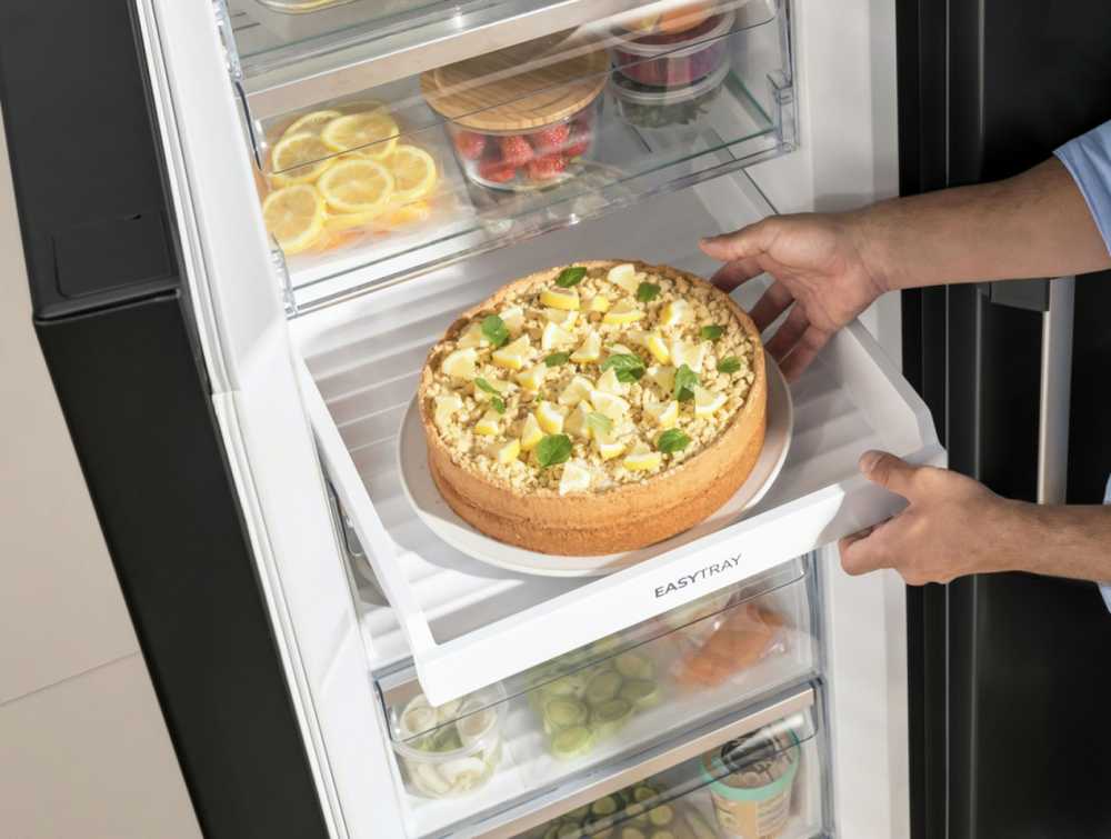 Gorenje FN619EABK6