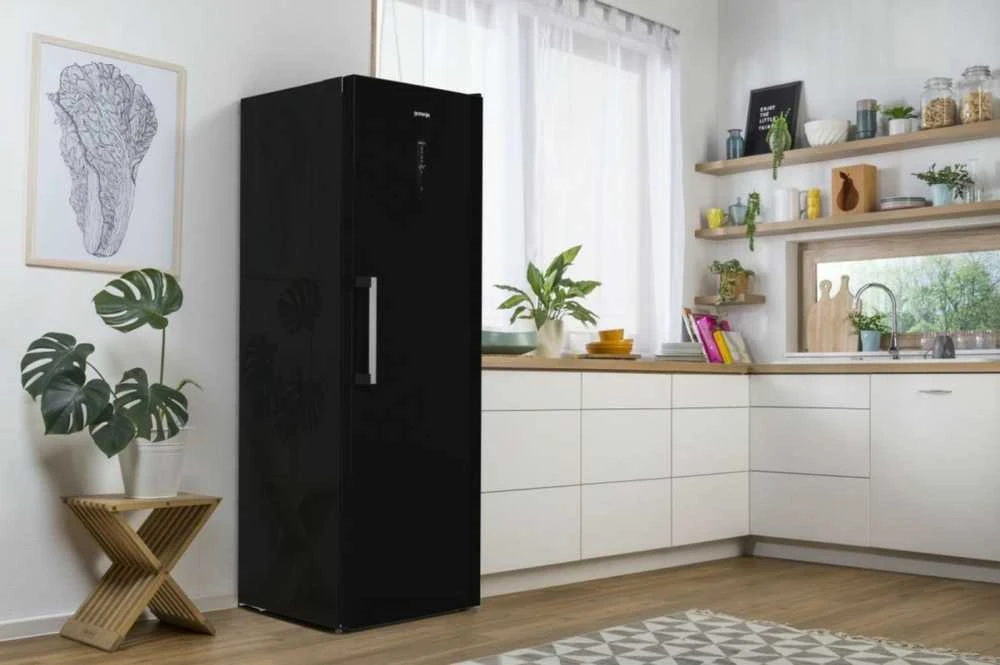 Šaldiklis Gorenje FN619EABK6