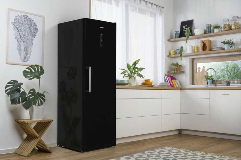 Gorenje Šaldytuvas r619eabk6